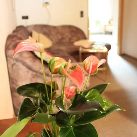 Haus Klumpp Apartment